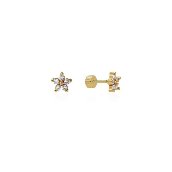 Pendientes Bright Star Acero 316 L - Imagen 2
