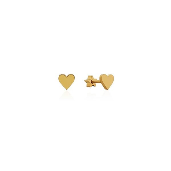 Pendientes Corazón y Estrella Acero 316 L.