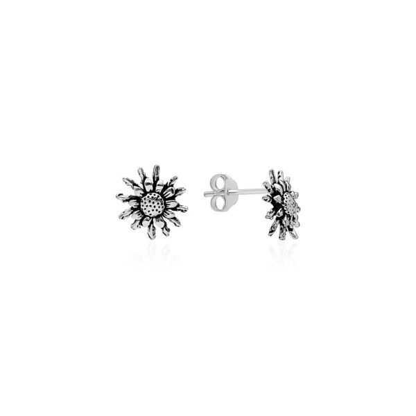 Pendientes Eguzkilore Plata Ley 925